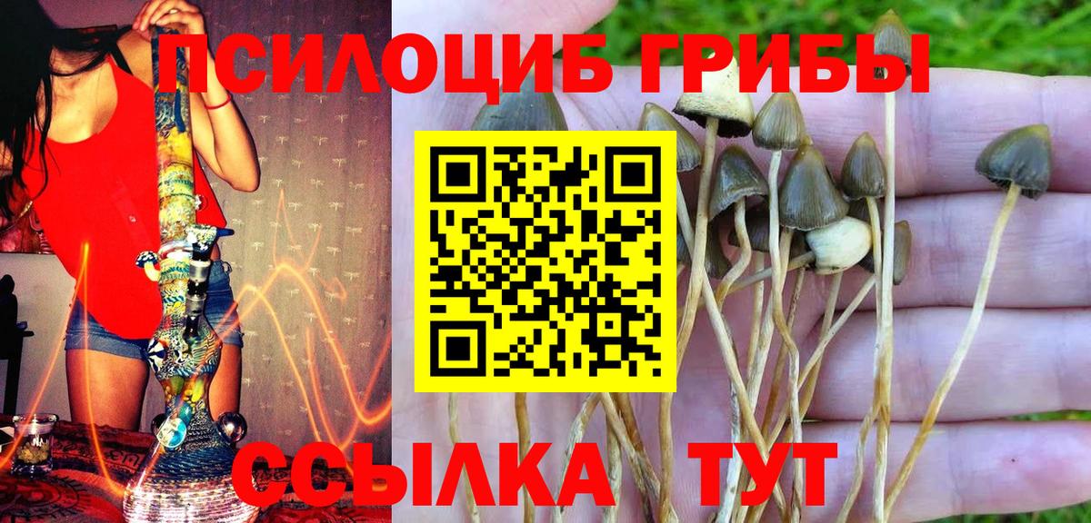 Псилоцибиновые грибы Psilocybine cubensis  магазин  наркотиков  Галлюциногенные грибы прущие грибы  Железногорск  Вход с VPN 