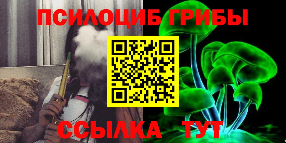 Галлюциногенные грибы Cubensis Железногорск